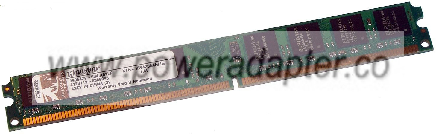 Kingston KTH-XW4200AN/1G RAM Module 1 GB, PC2-4200 DDR2-533, DDR