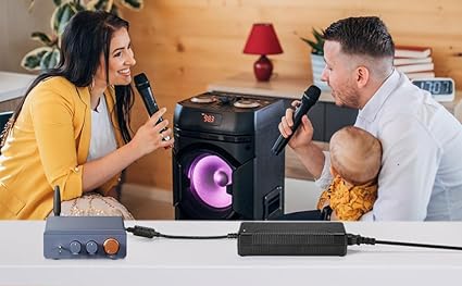 48V 5A Power Adapter Supply,48V5A Power Supply, 48V5A Power Supply for Home Audio Bluetooth Stereo Receiver Amplifier Mi