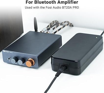 Audio 48V 5A Power Adapter Supply for Home Audio Bluetooth Stereo Receiver Amplifier Mini Hi-Fi Class D Integrated Amp